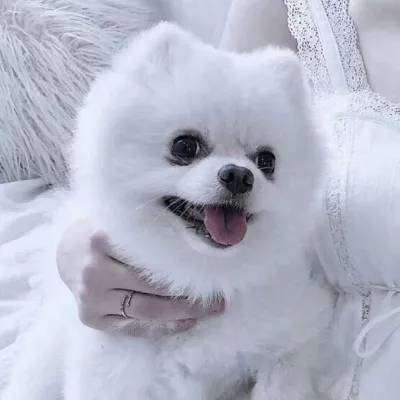 美联储米兰：认为美联储政策无需对经济施加抑制作用。