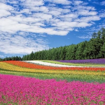 中期流动性加量投放 央行开展5000亿元MLF操作