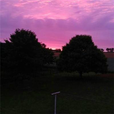 超8亿资金出逃明阳智能，机构狂买浙江新能（名单）丨龙虎榜