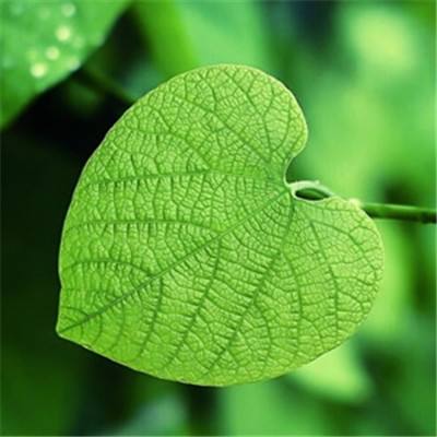 万语言聪——以专业铸就信任，打造华北BPO服务新标杆